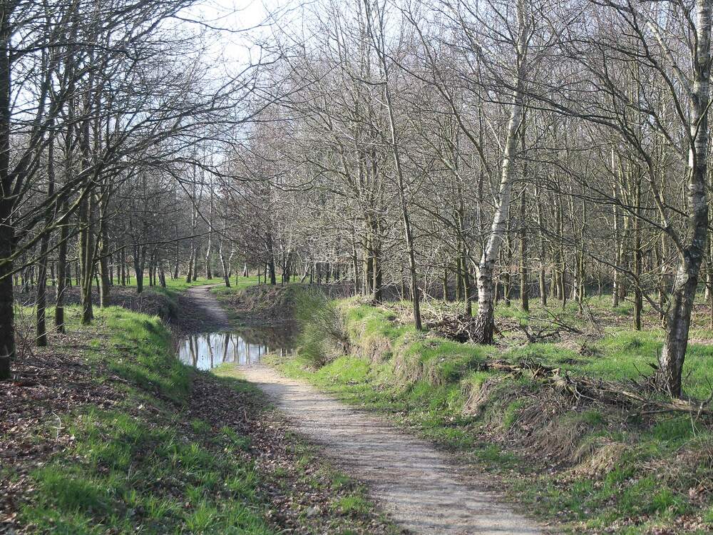 Het vlinderpad langs het water in de Landerij van Tosse bij Oss