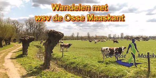 Herfstwandeltocht Geffenseveld 2026 — Natuur in Oss